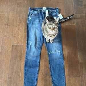 NWT Studio Blue size 10 distressed skinny jeans